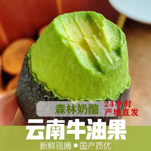 牛油果新鲜果云南国产哈斯牛油果
