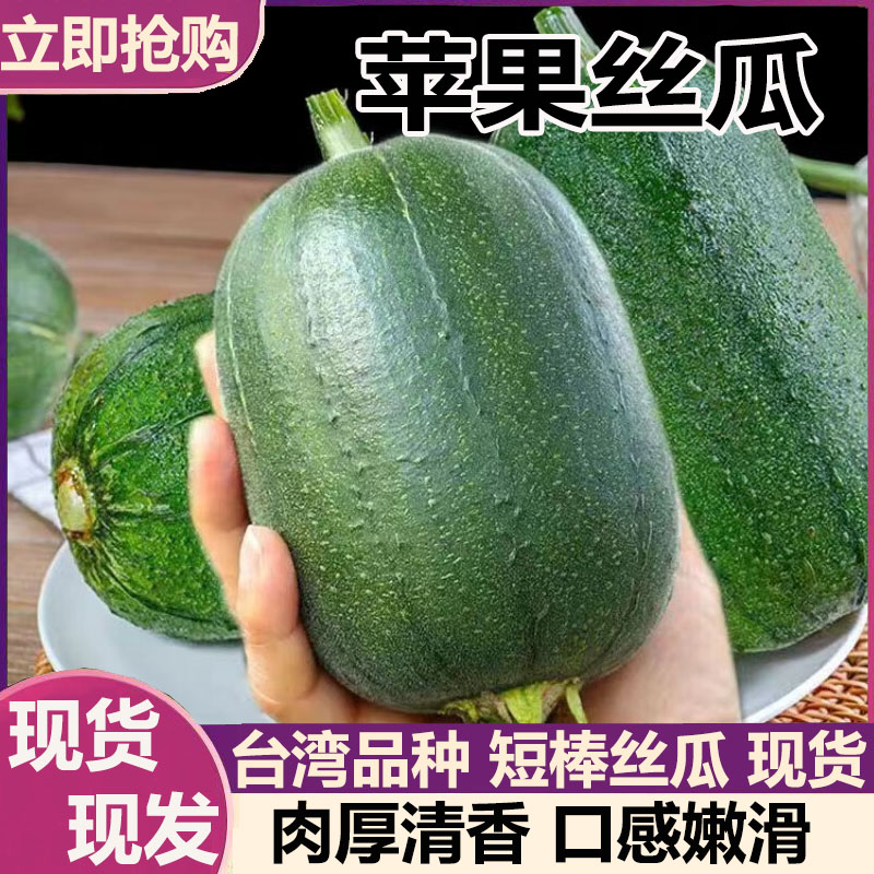 苹果丝瓜5斤装短棒丝瓜台湾丝瓜本地丝瓜现摘新鲜蔬菜整箱包邮