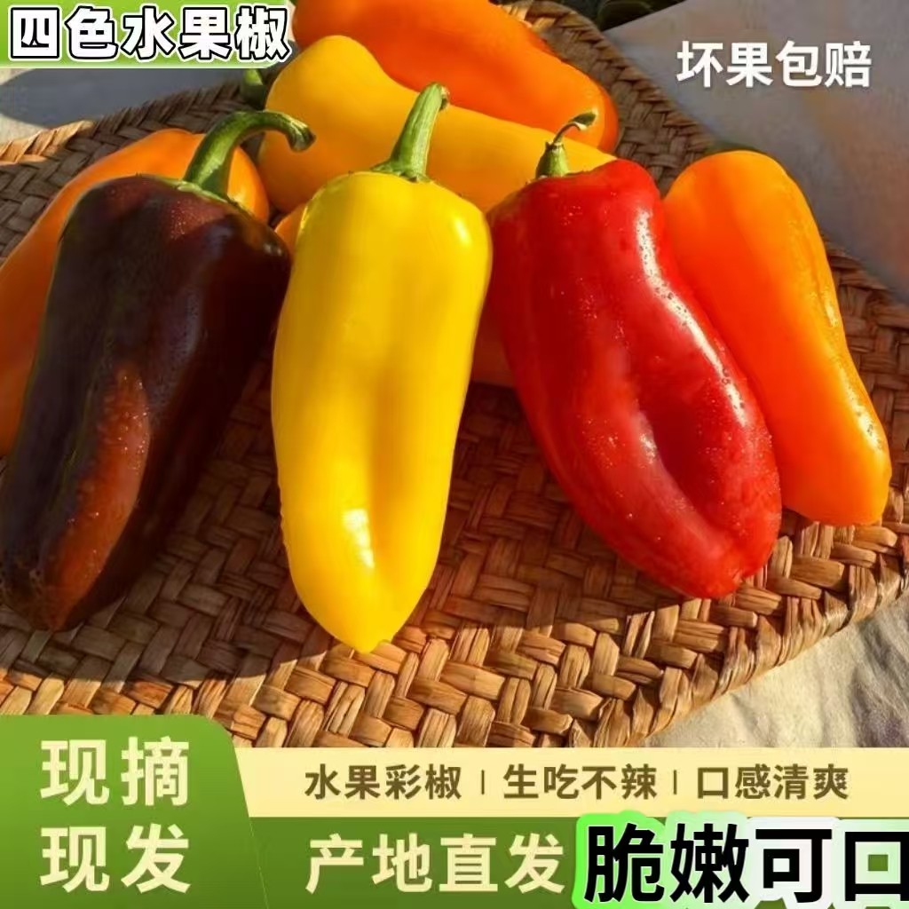 山东迷你水果彩椒当季新鲜五彩甜椒生吃红灯笼小辣椒沙拉蔬菜,水产肉类/新鲜蔬果/熟食,辣椒,淘宝优惠券,粉丝福利购,淘宝优惠卷