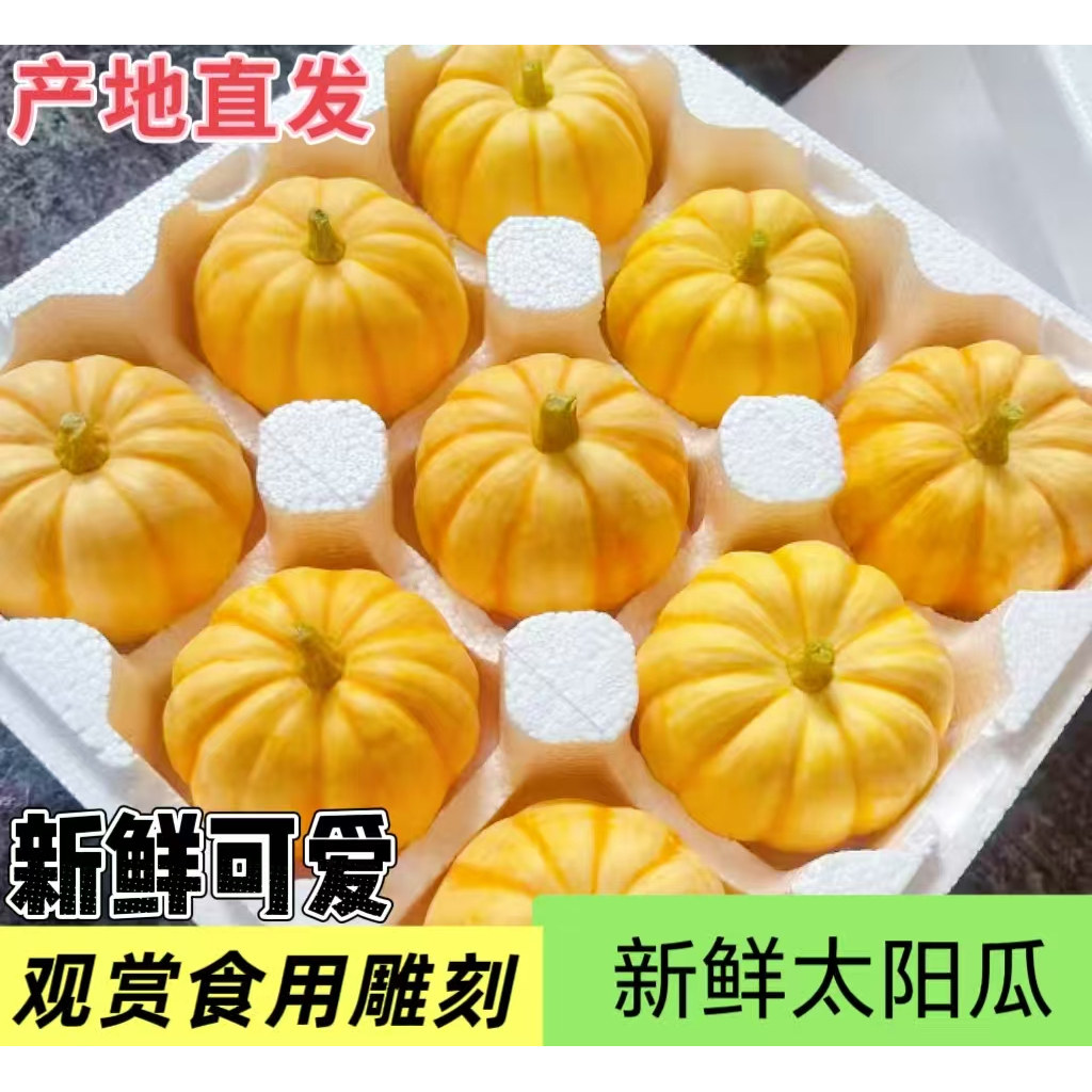 新鲜太阳瓜食用黄金贝贝南瓜金桔瓜宝宝迷你小南瓜装饰漂亮金贝贝,水产肉类/新鲜蔬果/熟食,南瓜,淘宝优惠券,粉丝福利购,淘宝优惠卷