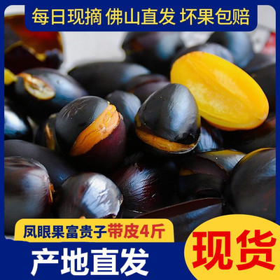 现货广东凤眼果九层皮新鲜