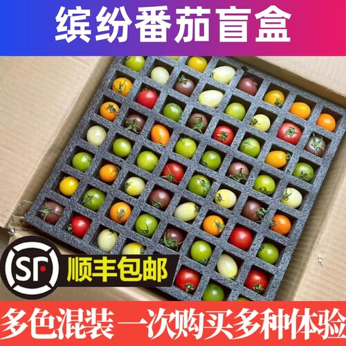 番茄盲盒山东潍坊斑斓圣女果现摘