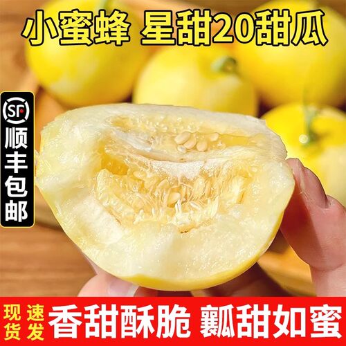 顺丰正宗沂蒙山头茬蜂蜜小甜瓜星甜20甜瓜新鲜水果香瓜黄金瓜爆甜