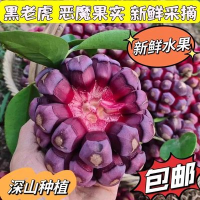 现货速发黑老虎布福娜果恶魔果实新鲜稀奇古怪的水果罕见稀有当季