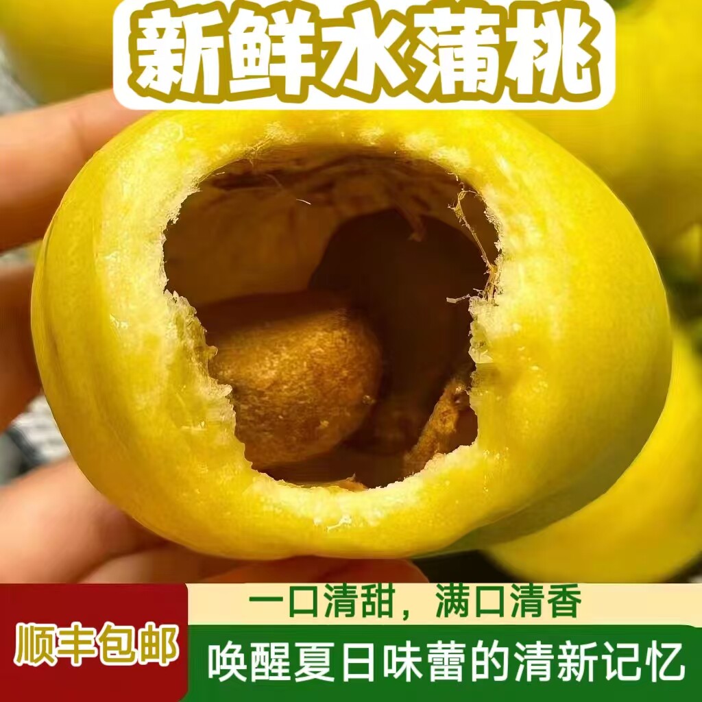 顺丰现摘水蒲桃新鲜水果叮当果水葡萄铃铛果蒲桃自种优质水果现货