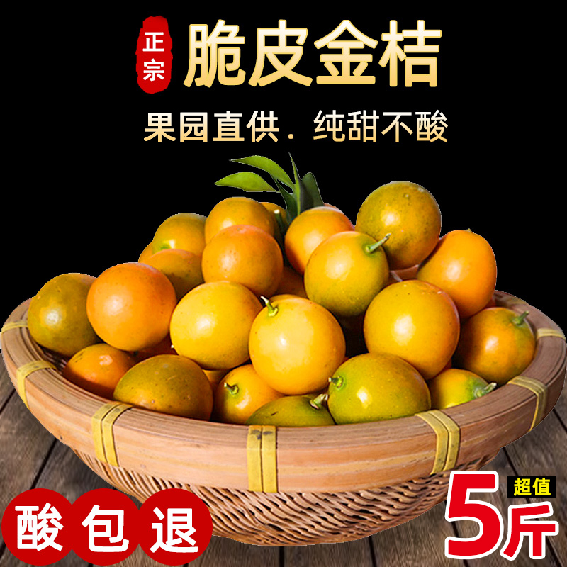 广西融安滑皮金桔顺丰