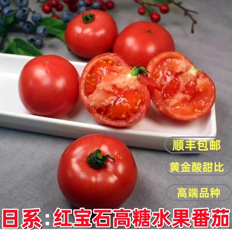 顺丰现摘红宝石高糖水果番茄当季新鲜蔬菜自然熟日本品种西红柿子,水产肉类/新鲜蔬果/熟食,番茄,淘宝优惠券,粉丝福利购,淘宝优惠卷