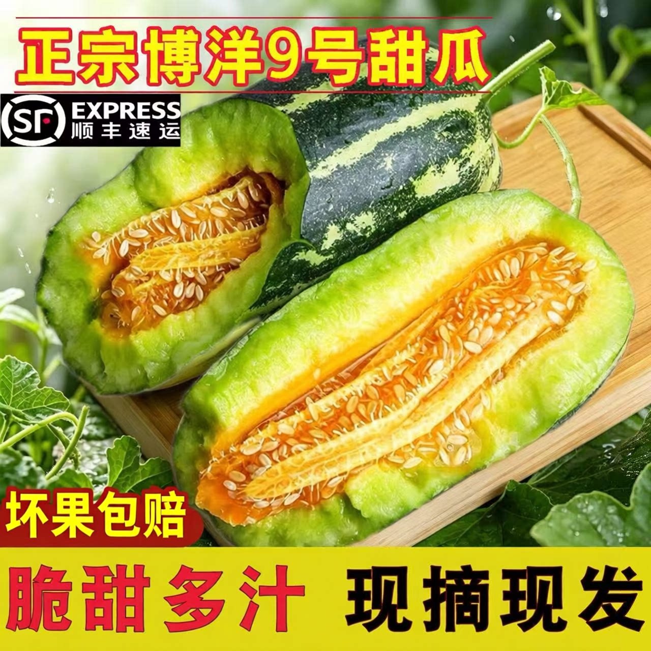 现摘现发山东头茬精品博洋9号甜瓜 新鲜时令水果香瓜脆瓜蜜瓜顺丰