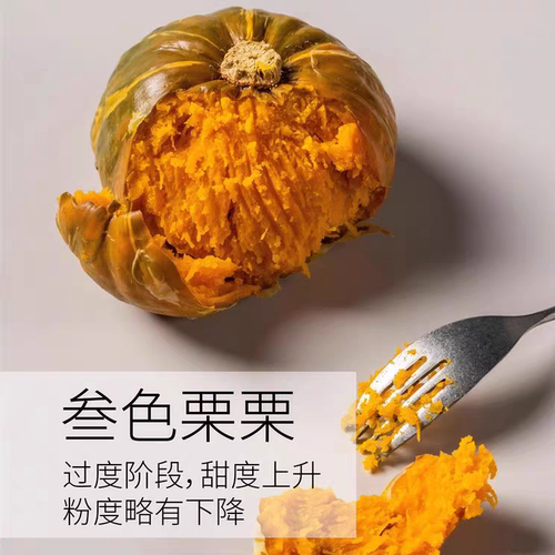 叁色栗南瓜三味变板贝小