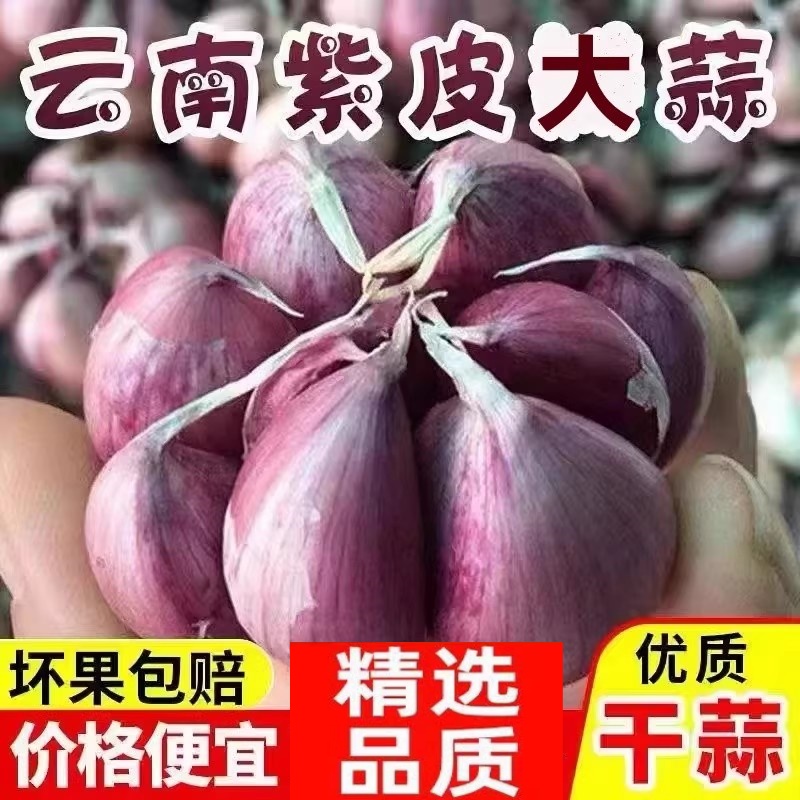 2025云南紫皮大蒜新干蒜红香大果