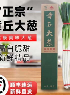 顺丰山东济南章丘大葱甜葱蘸酱5斤10斤特大脆甜蔬菜正宗礼盒灵