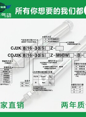 翊云气动不锈钢迷你气缸CJ2KB/CDJw2KB16-5/10/15/20/25/30/45Z-B