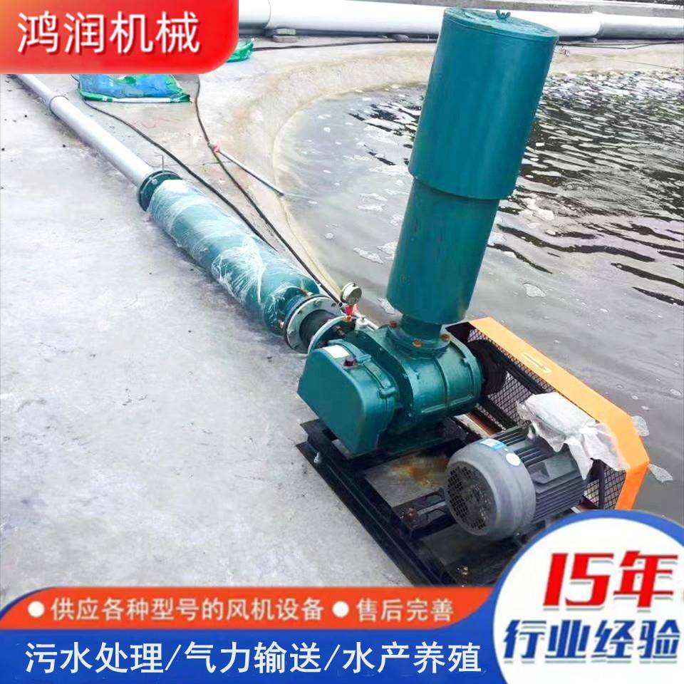 罗茨风机选型报价三叶罗茨风机气力输送设备污水处理罗茨风机
