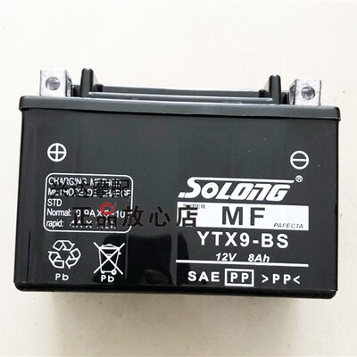 BJ500GS-A金鹏TRK502502X幼狮BMJ500摩托车电瓶电池配件