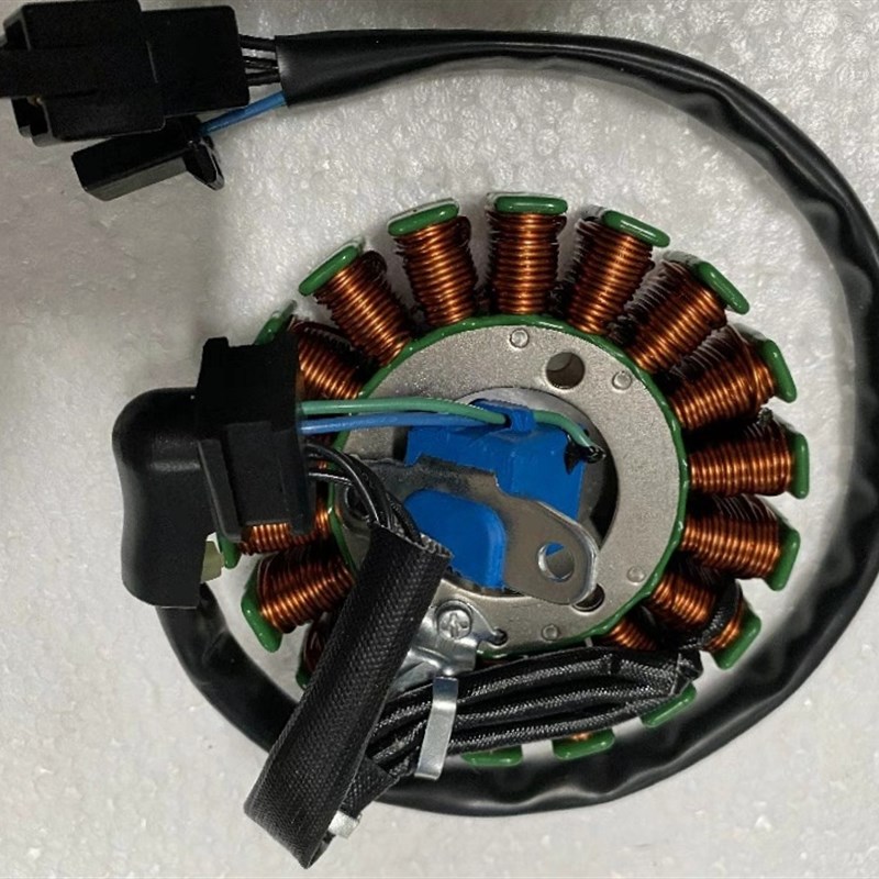 适用轻骑铃木睿彩QS125T-w4B/4C瑞梦5A转子线圈磁电机磁钢转子