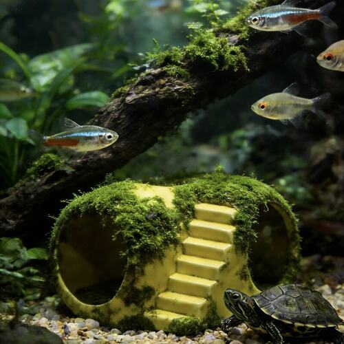 鱼缸陶瓷躲避窝造景爬宠屋守宫豚鼠乌龟六角恐龙鱼虾栖息洞穴