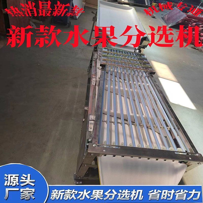 新款选果机圣女果百香果李子分拣机核桃分选机Q杨梅槟榔脐橙分级