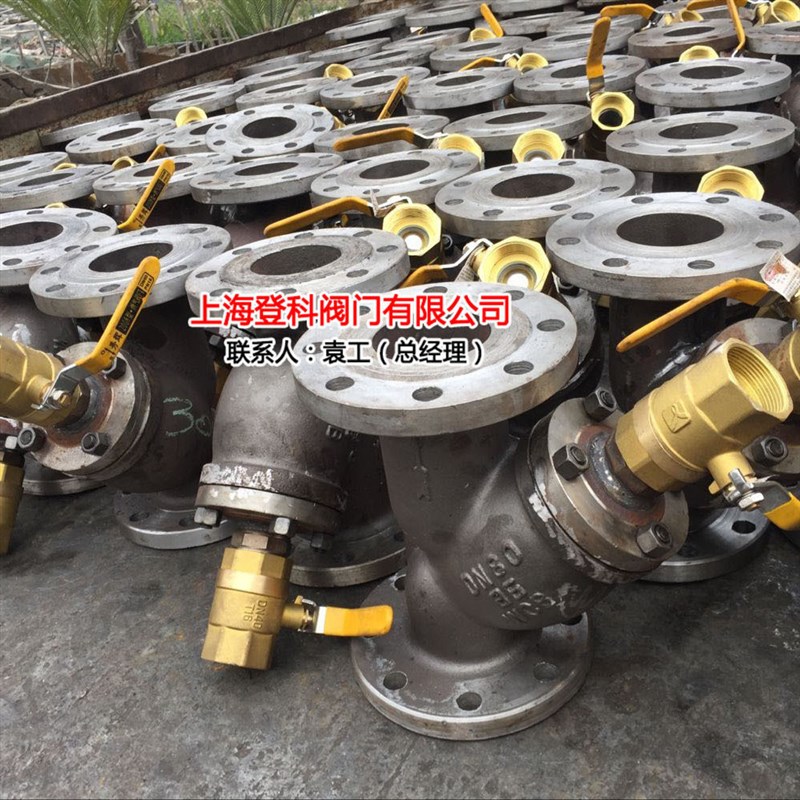 阀门GL41H-16C rDN250 铸钢Y型过滤器 快速排污口过滤器