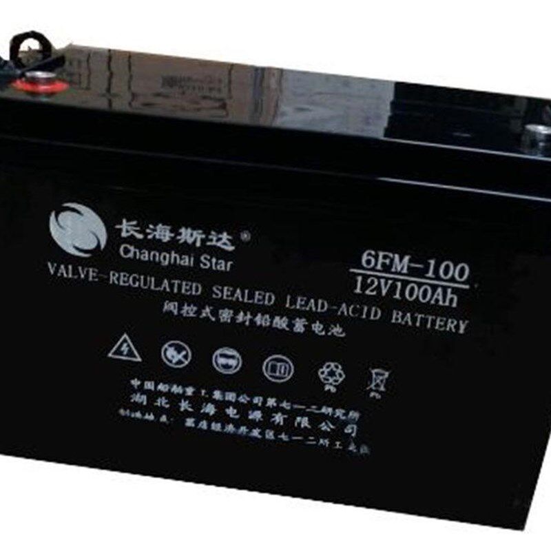 长海斯达蓄电池f12V100AH 6FM-100 船舶/UPS/EPS/直流屏等电力专