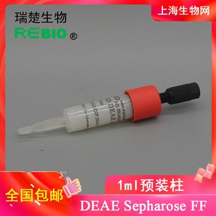 离子交换预装柱葡聚糖琼脂糖凝胶SPCMQDEAESepharose FFX1ml装5ml