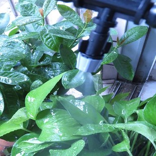 Gray Gardenh Fog Nozzle Pressure Sprayer Drip Irrigation Wit