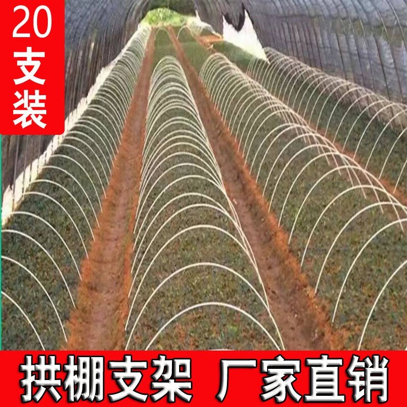 20根小拱棚支架拱杆竿大棚内棚套棚骨架玻璃纤维杆地Y膜园艺农用6