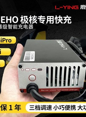 极核AE2电摩锂电快充电器AE4SE+EZ3iyAE4iproAE8MY24SCITYSPORTFU