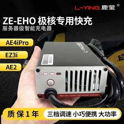极核AE2电摩锂电快充电器AE4SE+EZ3iyAE4iproAE8MY24SCITYSPORTFU