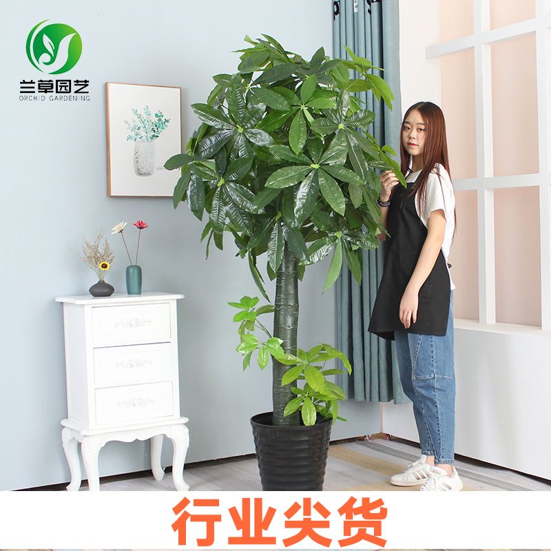 极速仿真花发财树招财客厅假花仿真植物室内盆栽绿植X塑料摆设盆