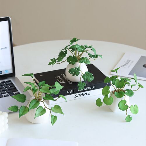 热销采购产品高端k模拟植物,小型盆栽植物,迷你绿色植物装饰品,