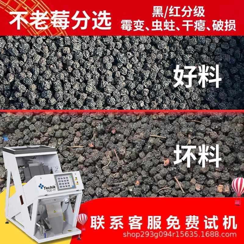 大小型色选机不老莓果脯坚果仁筛选坏果M检测过滤分选机器配件