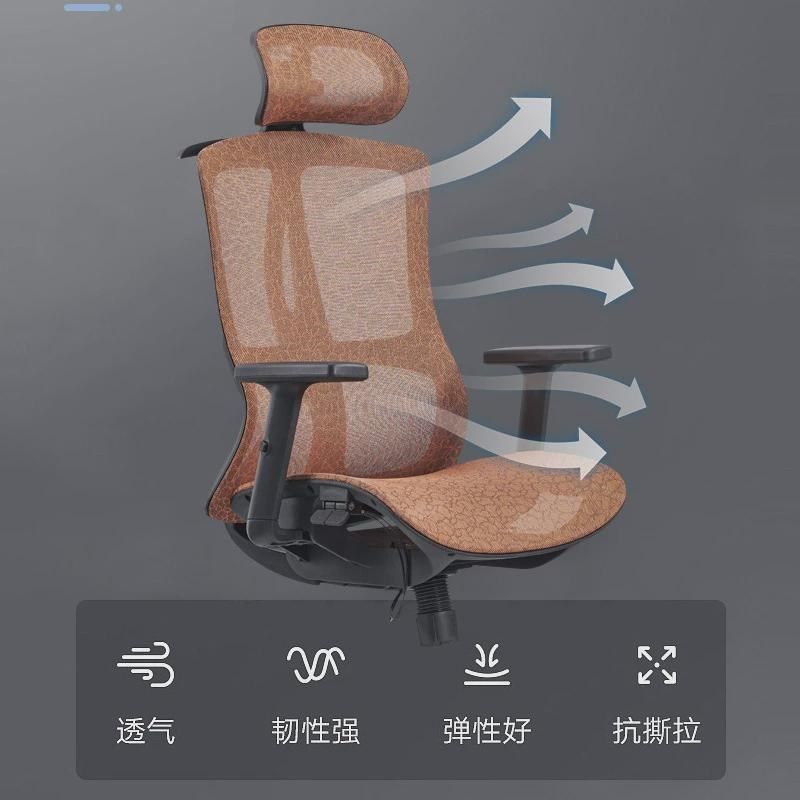 人体工学椅办公电脑椅家用舒适久坐不累护腰透气老板椅Z简约电竞,商业/办公家具,办公电脑椅/职员椅,淘宝优惠券,粉丝福利购,淘宝优惠卷
