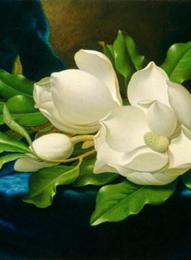 手绘花鸟油画玄关油画海德 heade蓝色天K鹅绒布上的木兰花花卉田