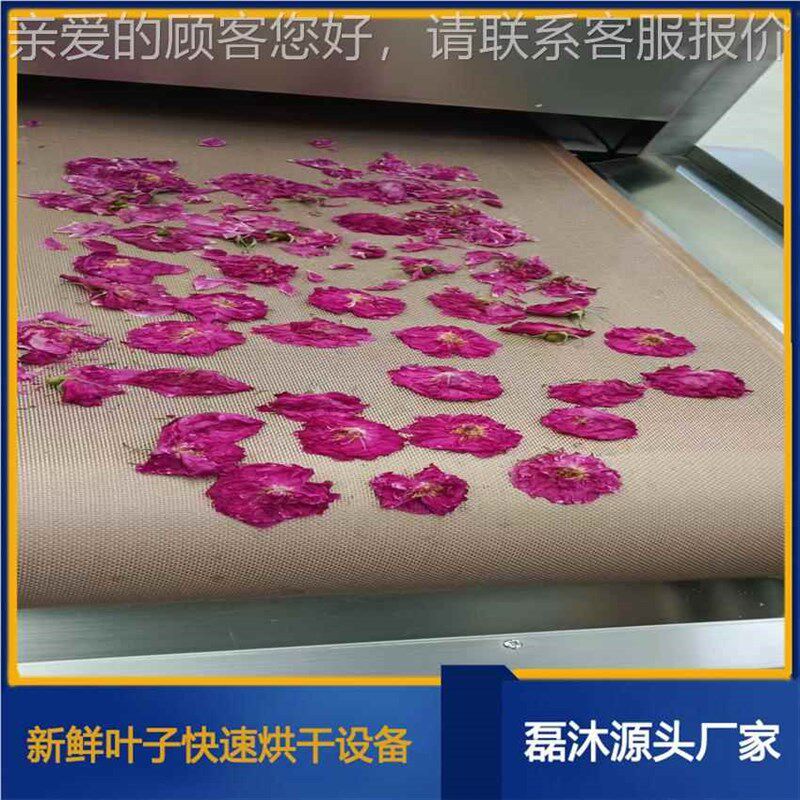 智能化鲜设花微波烘干杀LM-30KW-青机 玫瑰固提R香备 藏花红色花
