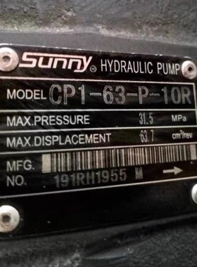CP1-50-P-10R内啮合齿轮CP1-63-P-1K0R注塑伺服泵 美国SUNNY