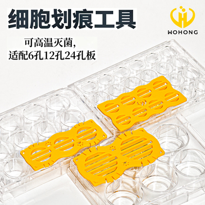 WHB细胞划痕工具神器插件独立包装适配6孔板12孔板24孔板划痕实验专用操作便捷适配200ul枪头可高温高压灭菌