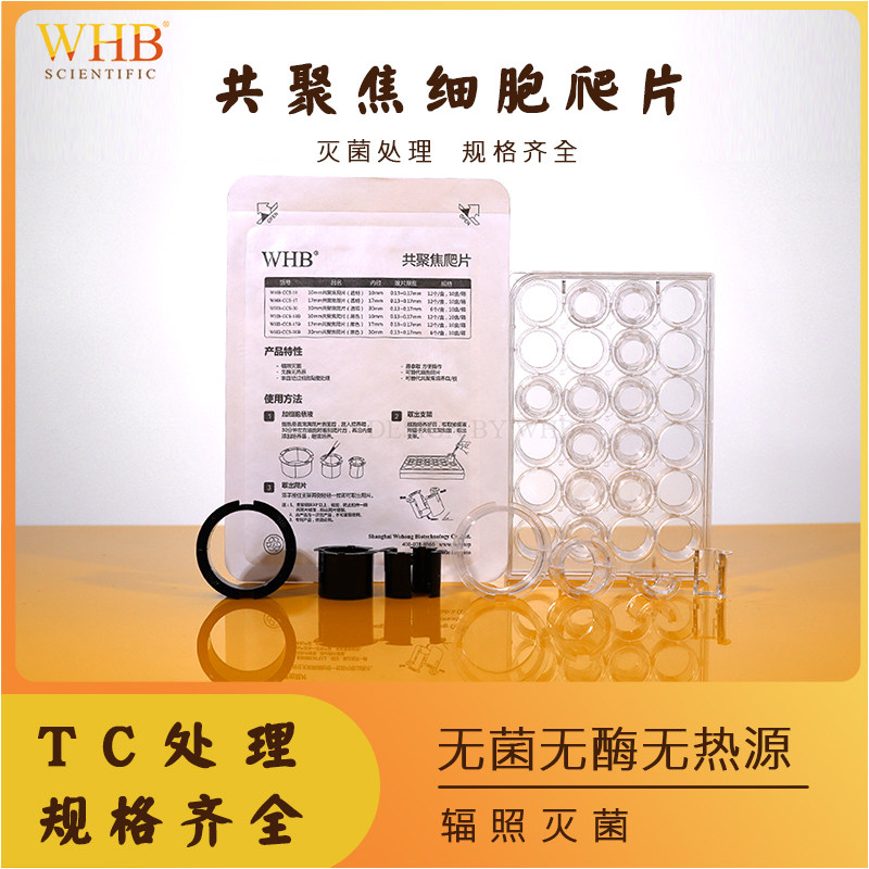 替代传统细胞爬片共聚焦细胞爬片