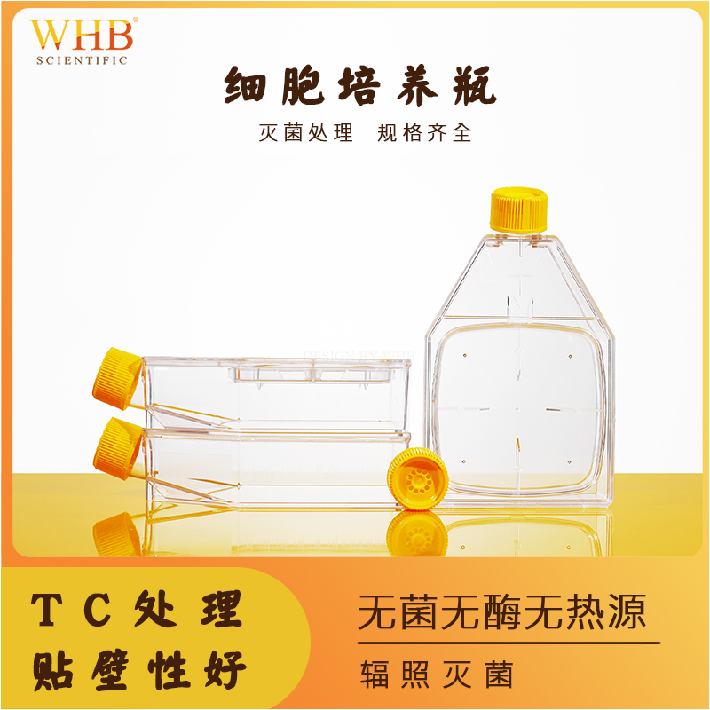 T25/75/150/300透气盖TC贴壁处理