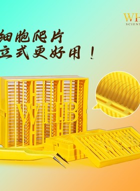 WHB立式圆形细胞爬片TC处理盖玻片无菌无酶无热原多聚赖氨酸包被细胞爬片6孔12孔24孔爬片灭菌处理拆开即用