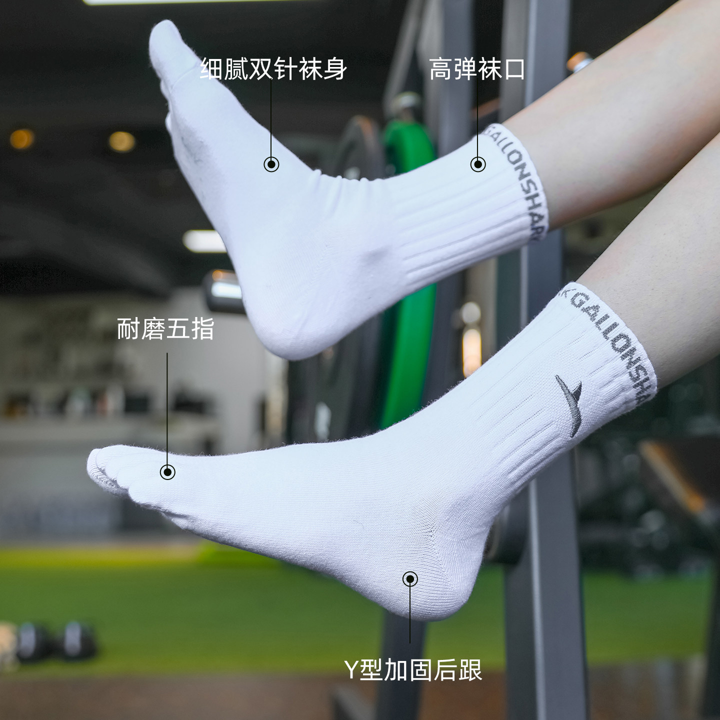 戈伦鲨五指分趾袜子棉袜透气吸汗隔凉居家地板四季男女通用