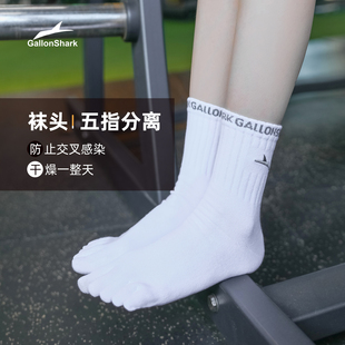 戈伦鲨五指分趾袜子纯棉透气吸汗抗菌防臭四季纯棉男女防脚气运动