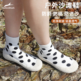 戈伦鲨夏天户外海边游泳赶海潜水浮潜运动涉水溯溪防滑防割沙滩鞋