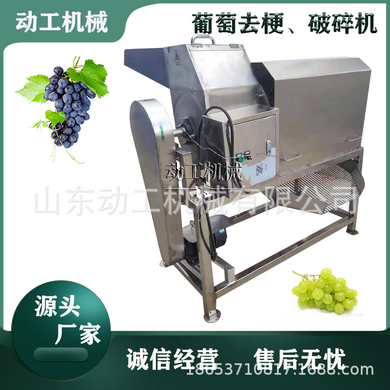 大型电动阳光玫瑰去梗破碎一体机 商用桑葚去蒂机 果梗分离机