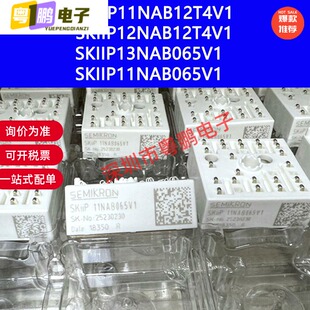 SKIIP11NAB065V1 SKIIP13NAB065V1 SKIIP14NAB065V1模块