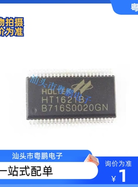 原装正品 HT1621B SSOP-48 LCD驱动器 液晶芯片 HT1621
