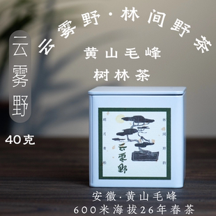 云雾野40g淡口清花香树林野茶枞韵黄山毛峰白岳碧云醒醒来喝茶