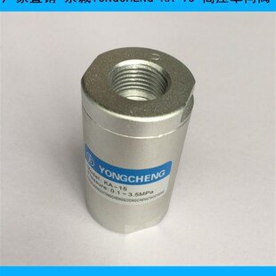YONGCHENG永诚KA1u5 高压单向阀  厂家直销 吹瓶机专用配件