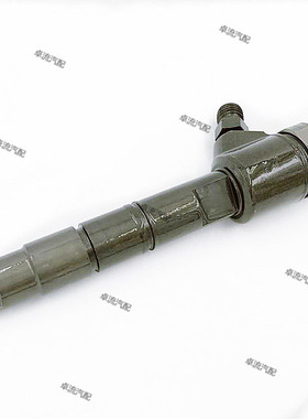柴油共轨喷油器0445110293/0445110404/0445110407总成