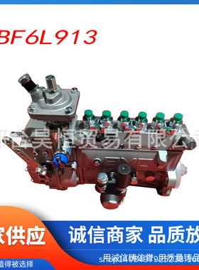 用于道依茨BF6L913柴油发动机的燃油泵高压油泵04231964