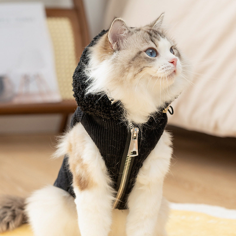 宠物马甲简约绗棉连帽灯芯绒保暖棉衣成猫幼猫狗狗秋季冬天猫衣服